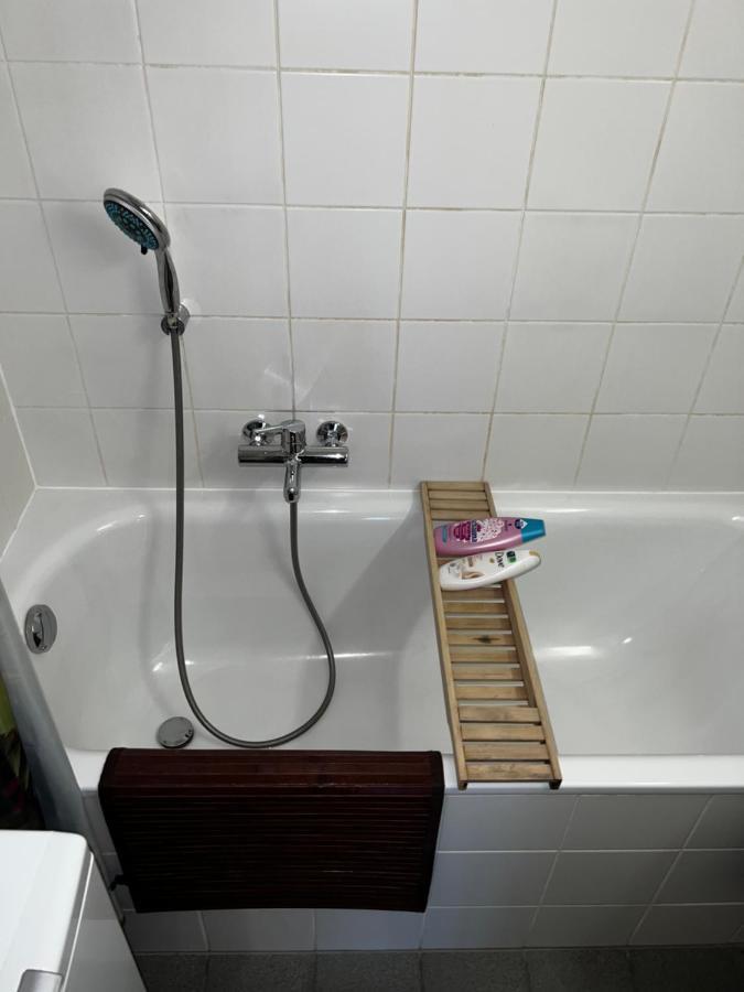 Beautiful Large Studio In Center Of Geneva Free Wifi Apartment Екстериор снимка