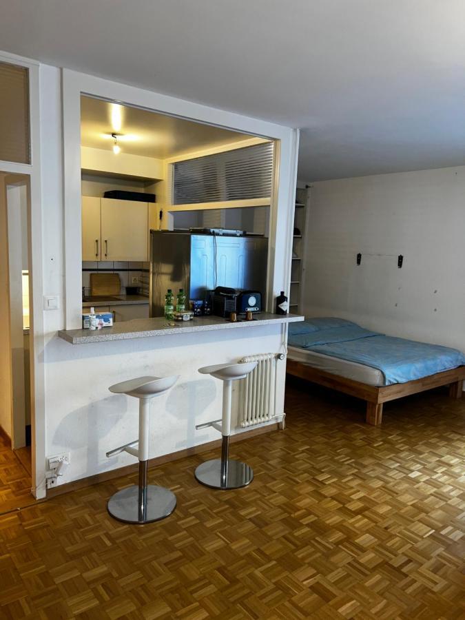 Beautiful Large Studio In Center Of Geneva Free Wifi Apartment Екстериор снимка