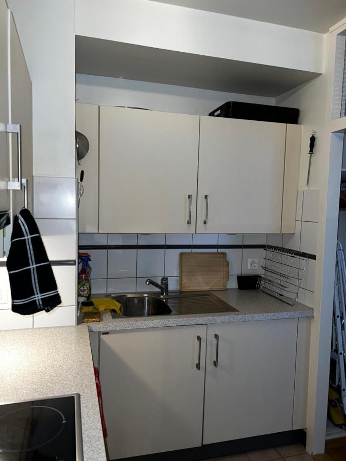 Beautiful Large Studio In Center Of Geneva Free Wifi Apartment Екстериор снимка